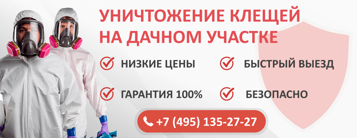 Профессиональная обработка